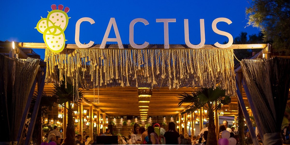 cactus-bar-paros