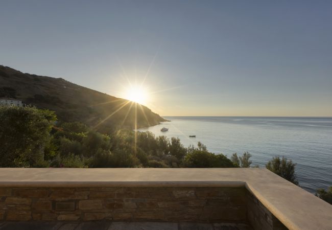 Villa in Andros - Seaview Beach House 