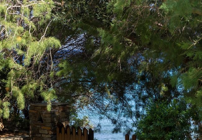 Villa in Andros - Rock Coastal House with Sea Views Villa in Andros - Rock Coastal House with Sea Views