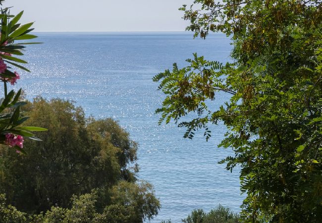 Villa in Andros - Rock Coastal House with Sea Views Villa in Andros - Rock Coastal House with Sea Views