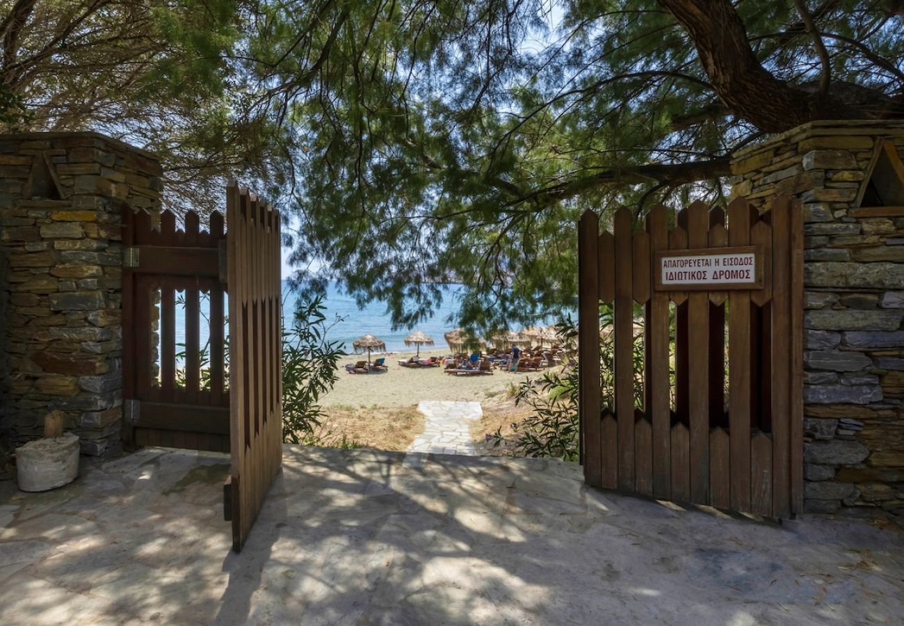 Villa in Andros - Sun-rock house by the sea 