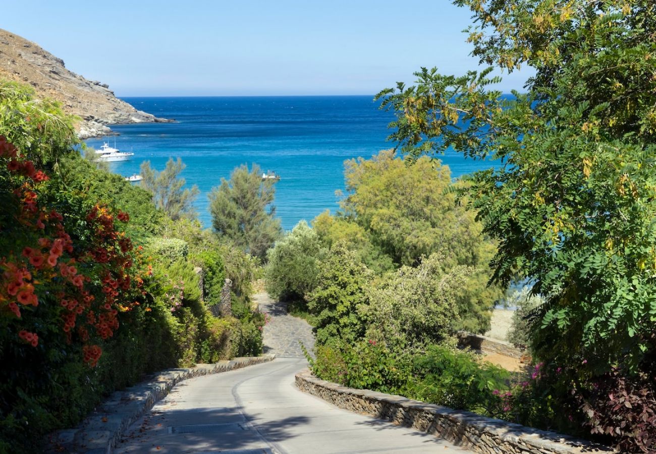 Villa in Andros - Sun-rock house by the sea 