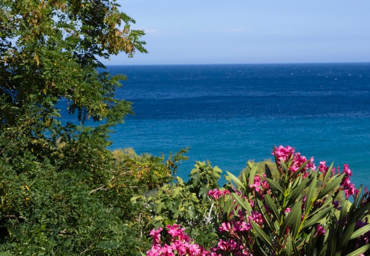 Villa in Andros - Sun-rock house by the sea 