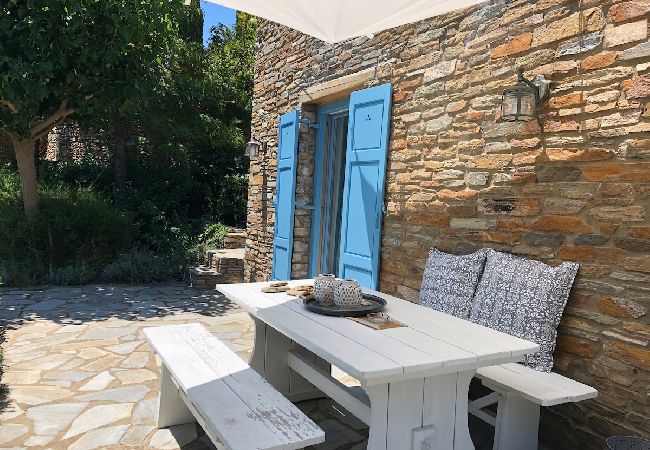 Villa in Andros - Seaside small villa 
