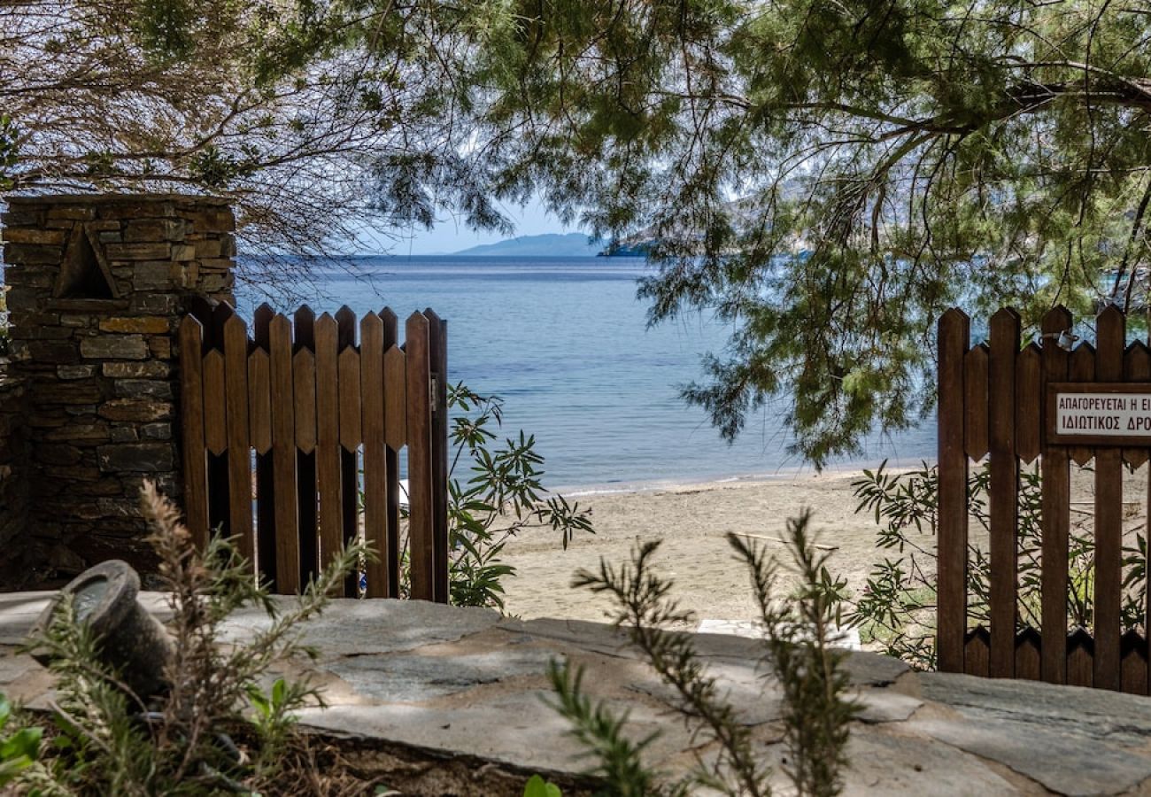 Villa in Andros - Seaside small villa 