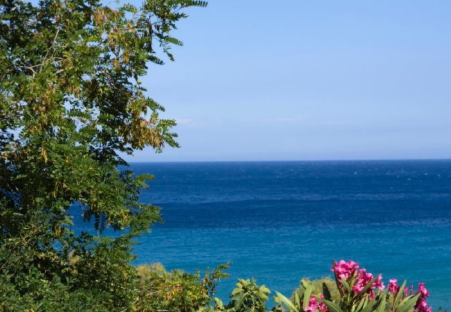 Villa in Andros - Aegean Breeze House Villa in Andros - Aegean Breeze House