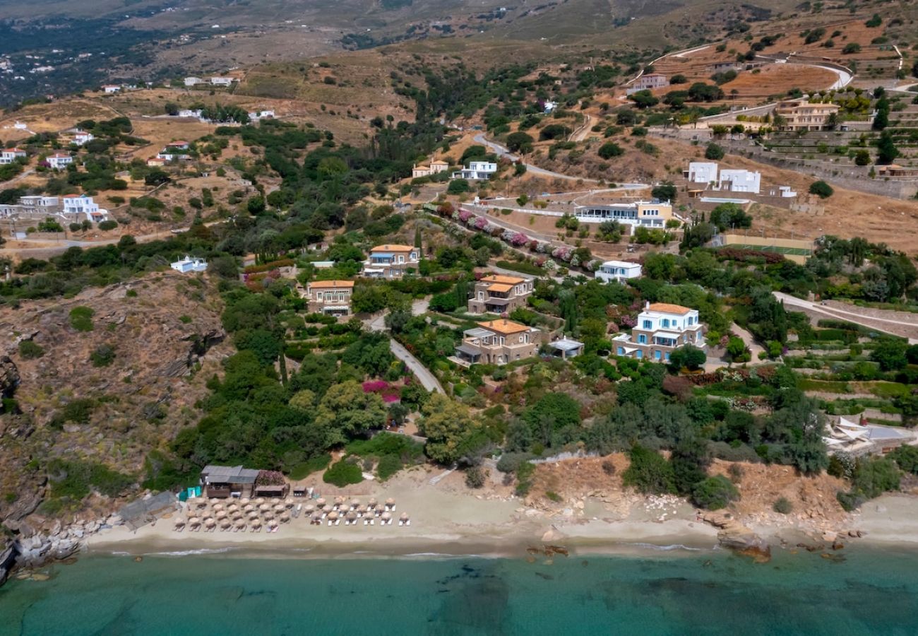 Villa in Andros - Seabreeze house by the beach 