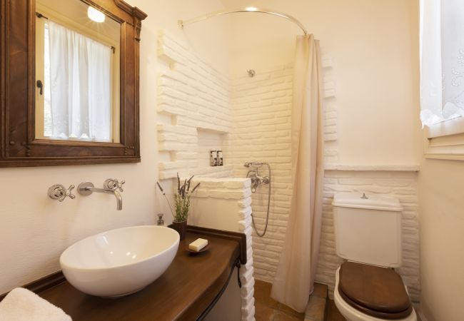 Villa in Andros - Exclusive Beach House Villa in Andros - Exclusive Beach House