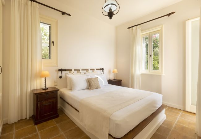 Villa in Andros - Exclusive Beach House Villa in Andros - Exclusive Beach House