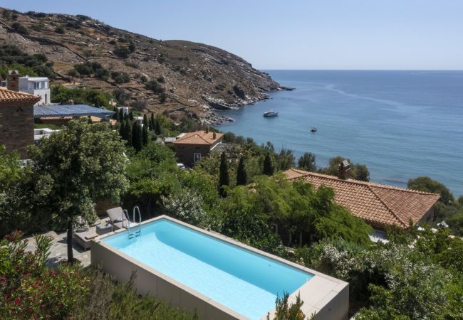 Villa in Andros - Luxury villa by the beach 