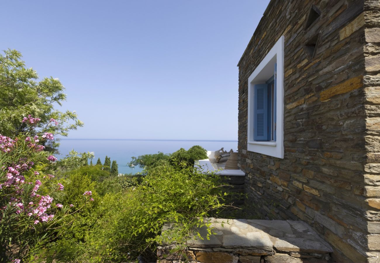 Villa in Andros - Luxury villa by the beach 