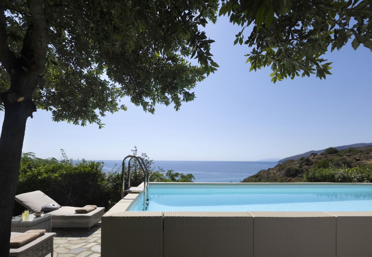 Villa in Andros - Luxury villa by the beach 