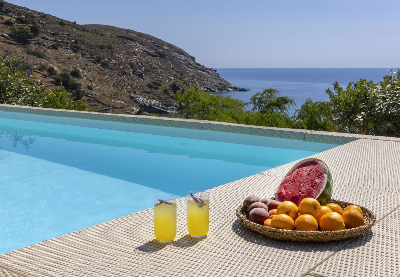 Villa in Andros - Luxury villa by the beach 