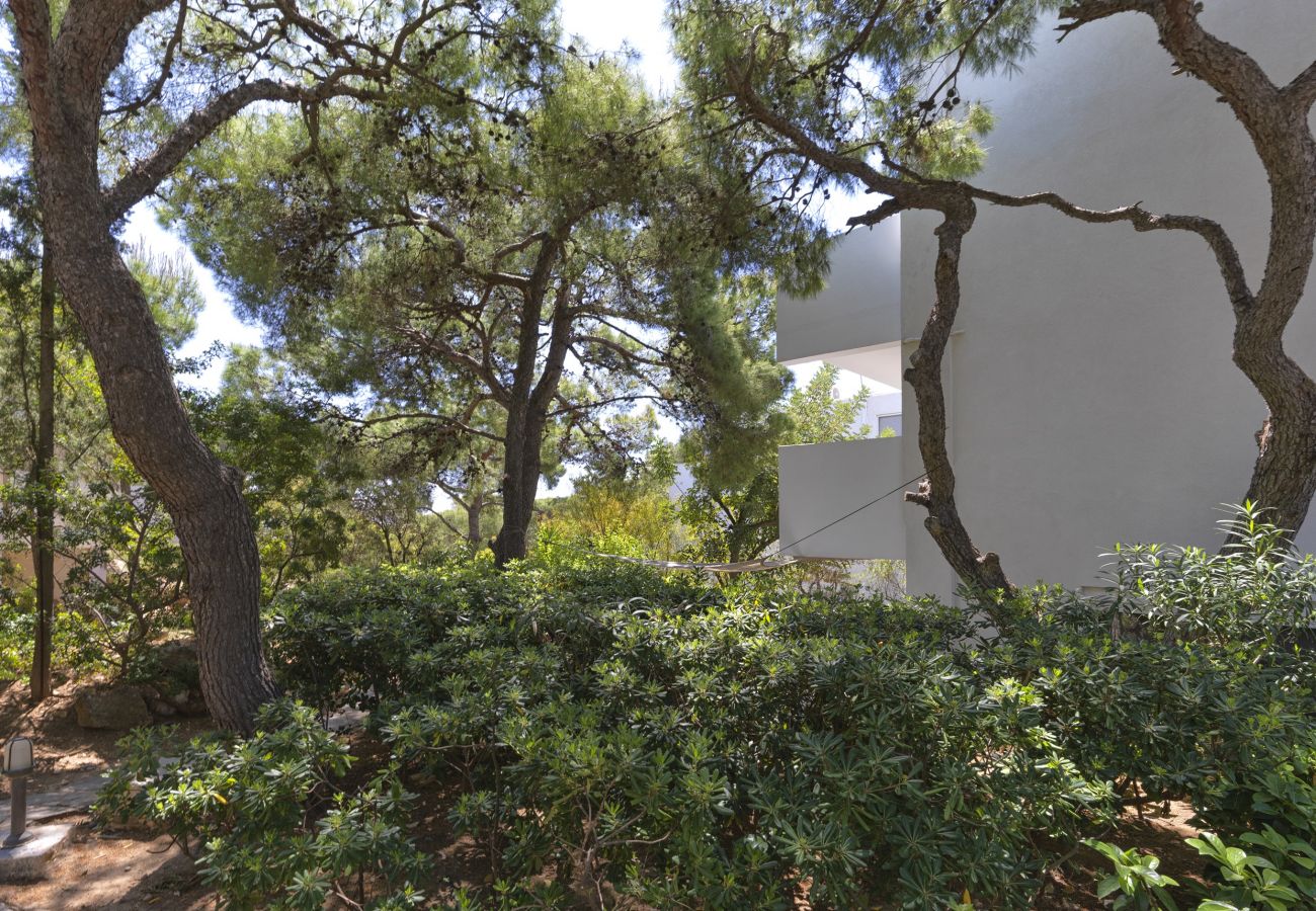 House in Kato Sounio - A Best Case Scenario 2BR Villa in Sounio, w/ pool 