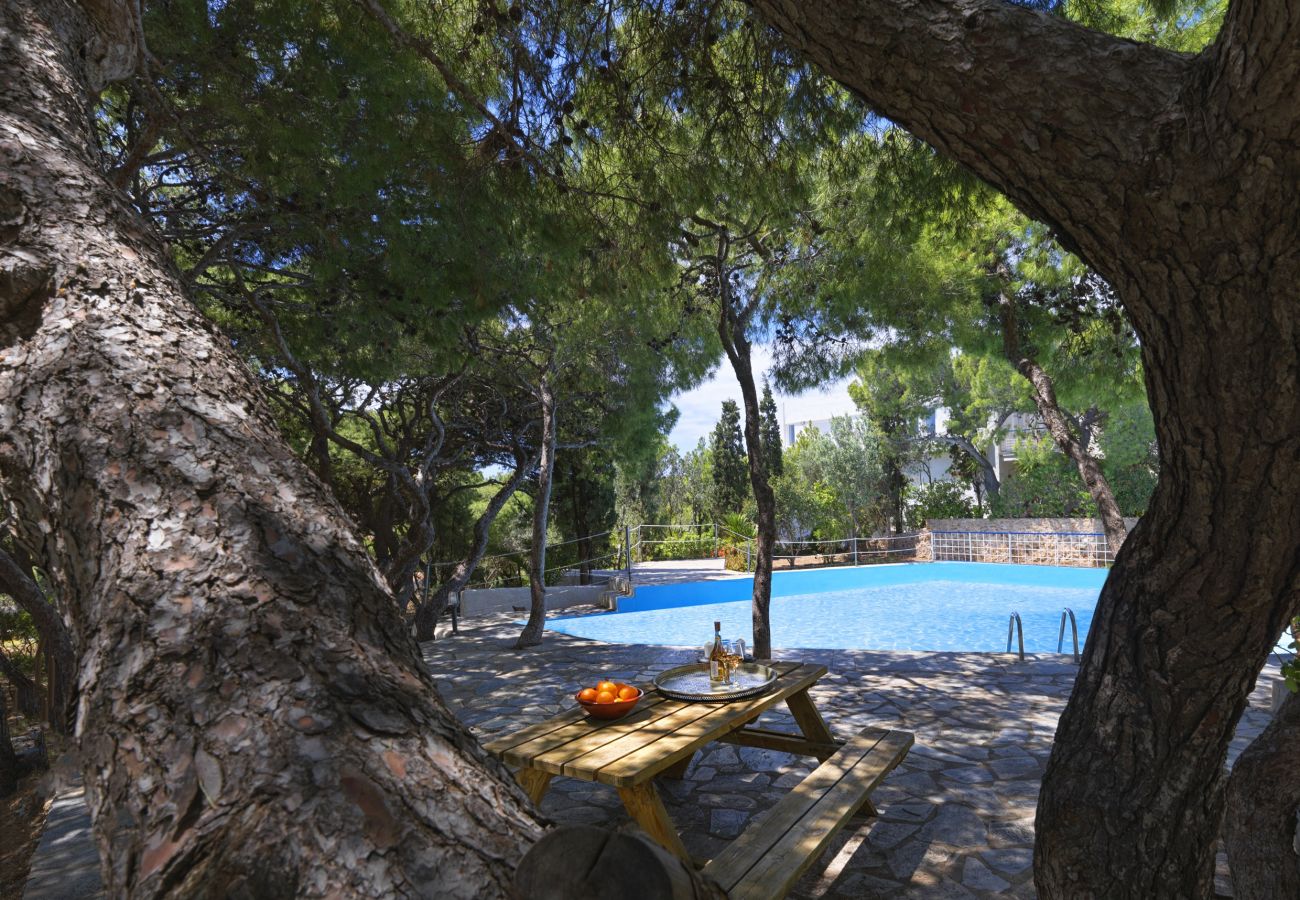 House in Kato Sounio - A Best Case Scenario 2BR Villa in Sounio, w/ pool 