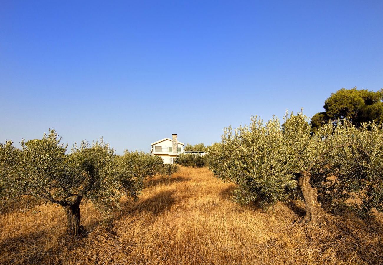 Villa in Loutraki - Tramonto di Olive - Gorgeous pool villa 