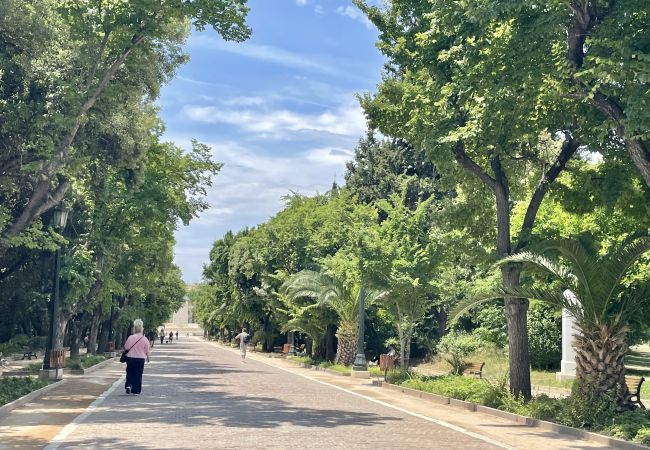 Apartment in Athens - Top Floor Renv 3BDR APT / “Pedion tou Areos”  Apartment in Athens - Top Floor Renv 3BDR APT / “Pedion tou Areos”