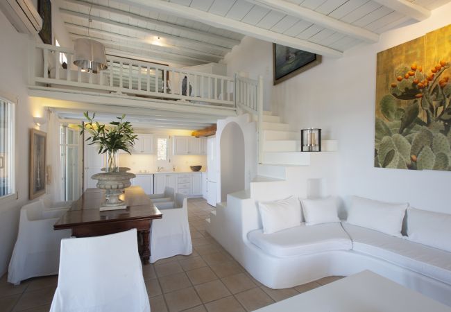 Large 14 person luxury villa in Mykonos