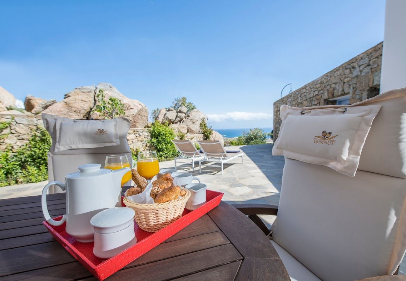 Villa in Mykonos - Mykonos Psarrou villas for 18 people 