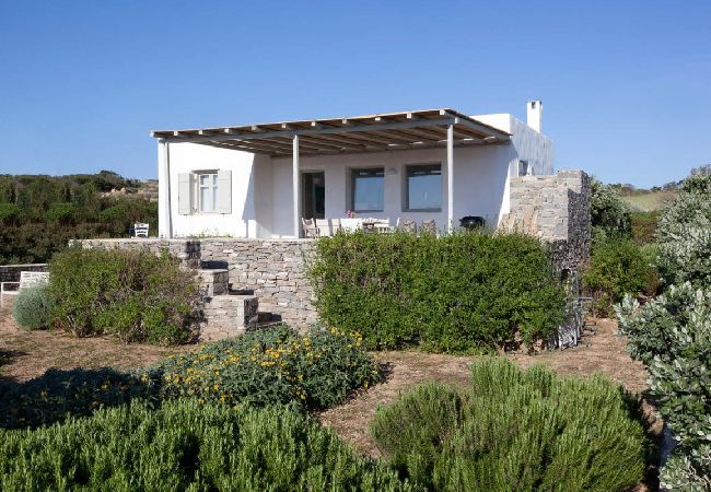 Villa in Santa Maria - Kallisti Villas - An oasis for 22 people 