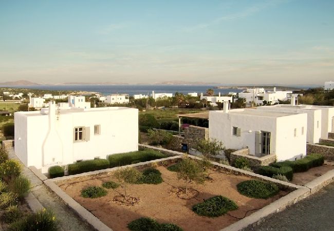 Villa in Santa Maria - Kallisti Villas - An oasis for 22 people 