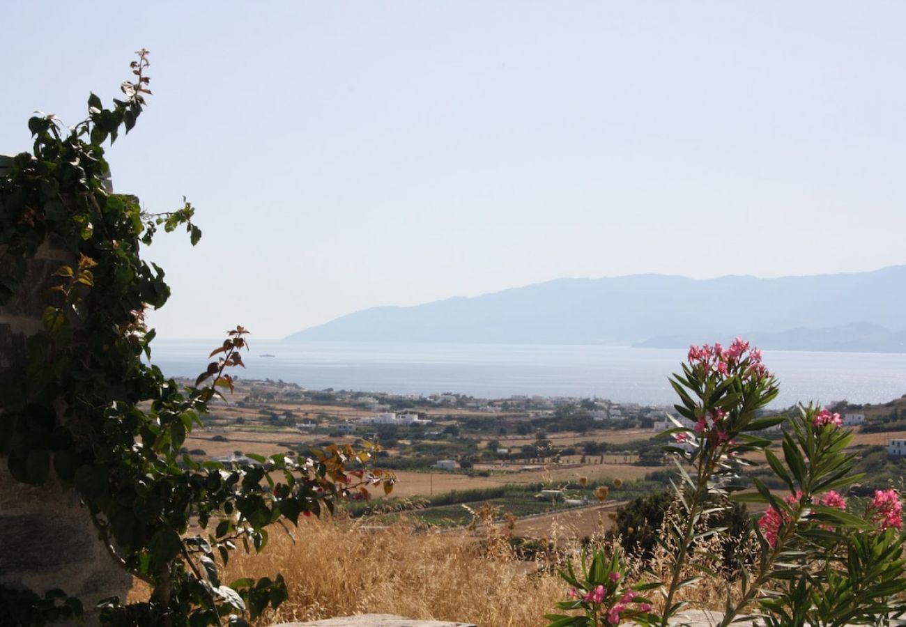 Villa in Isterni - Villa with amazing sea views & plunge pool! 