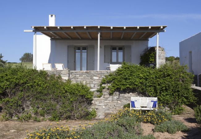 Villa in Santa Maria - Gorgeous Villa - an oasis for 8 people 