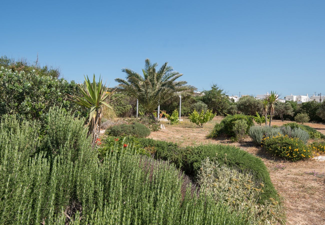 Villa in Santa Maria - Heavenly Villa with Sea & Island Views 