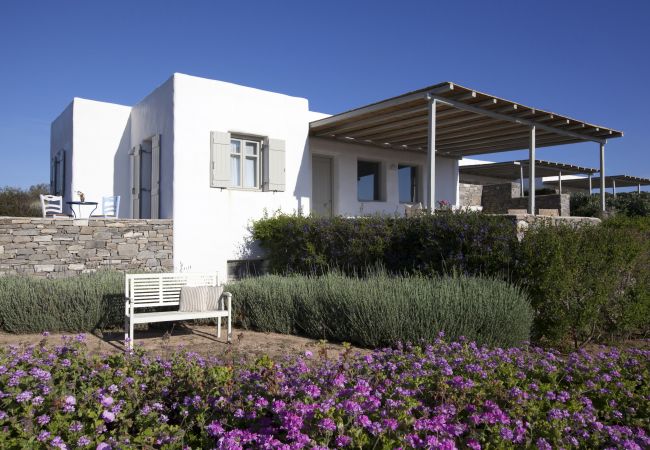 Villa in Santa Maria - Dream Villa with Views Garden nr Best kid's Beach 