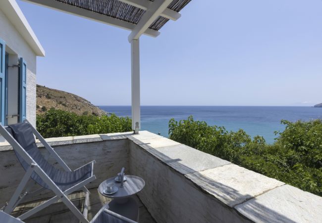 Villa in Andros - The White House by the beach