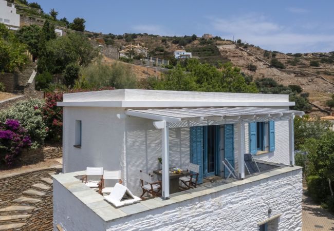 Villa in Andros - The White House by the beach