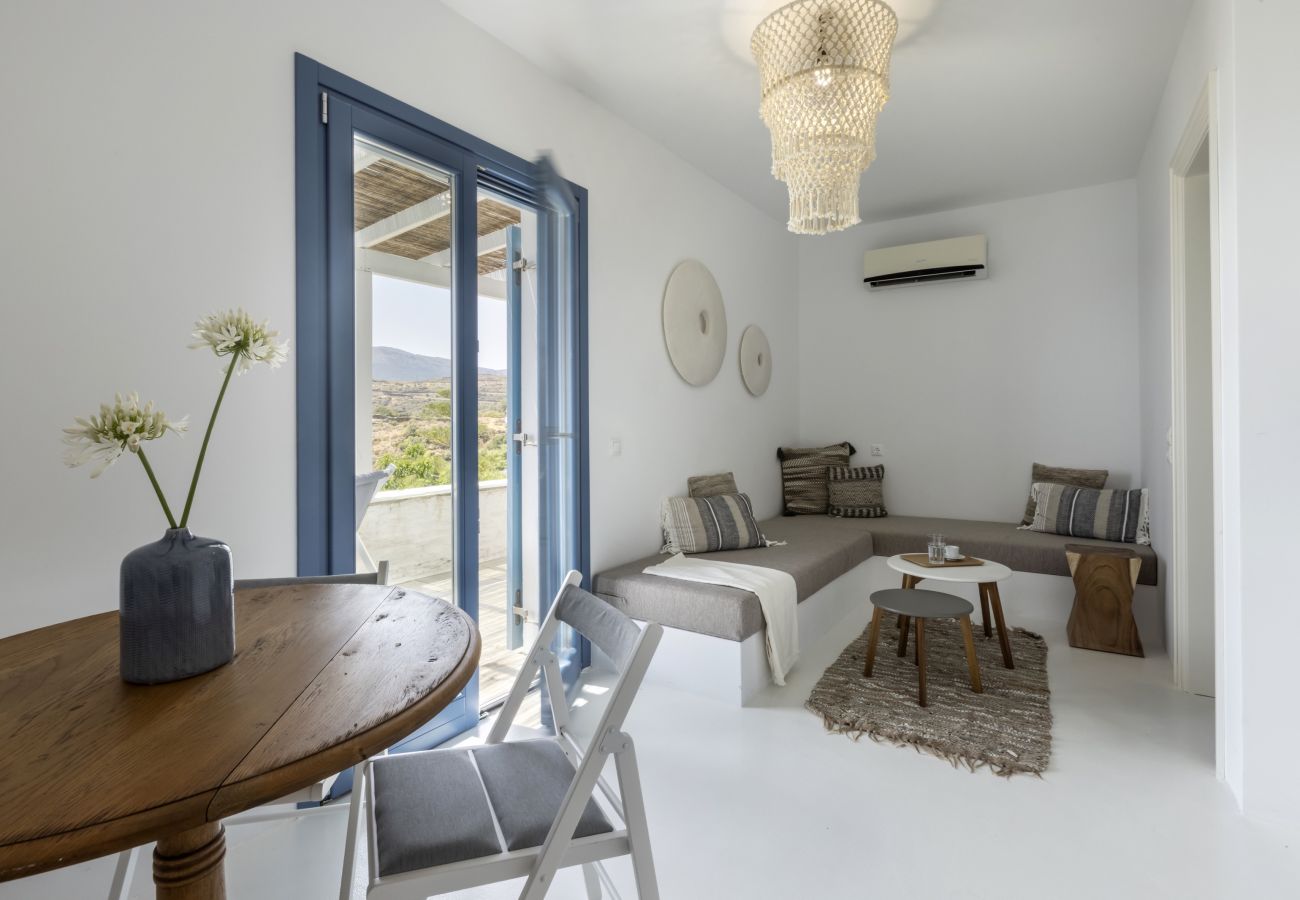 Villa in Andros - The White House by the beach