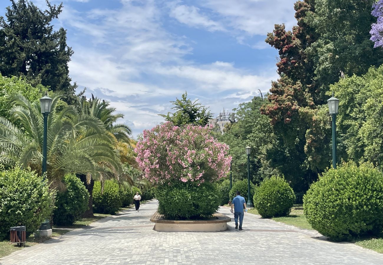 Apartment in Athens - Comfortable apartment next to Museum and park