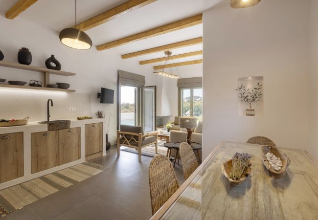 Villa in Antiparos - Traditional Villa Astra in Antiparos with Private Pool Villa in Antiparos - Traditional Villa Astra in Antiparos with Private Pool