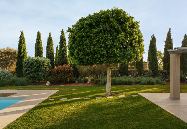 Villa in Argostoli - Villa Polyxeni Villa in Argostoli - Villa Polyxeni