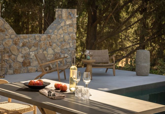 Villa in Svoronata - Forest Villa Villa in Svoronata - Forest Villa