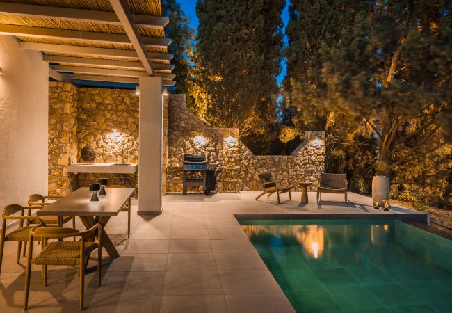 Villa in Svoronata - Forest Villa Villa in Svoronata - Forest Villa