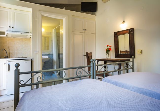 Villa in Argostoli - Villa Xenia Villa in Argostoli - Villa Xenia