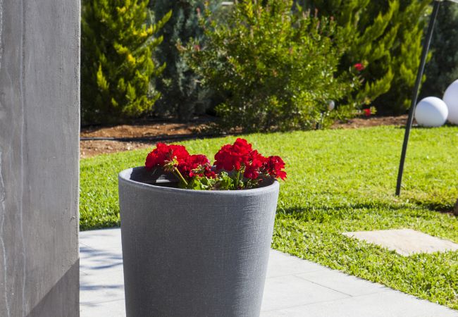 Villa in Argostoli - Villa Lefteris Villa in Argostoli - Villa Lefteris