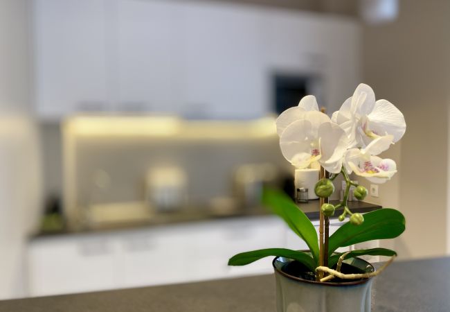 Studio in Athens - 2nd Floor Studio-Goldfish Studio in Athens - 2nd Floor Studio-Goldfish