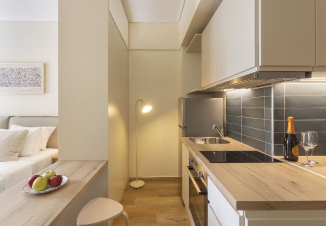 Studio in Palaio Faliro - Renovated Studio with Sea View in Palaio Faliro Studio in Palaio Faliro - Renovated Studio with Sea View in Palaio Faliro