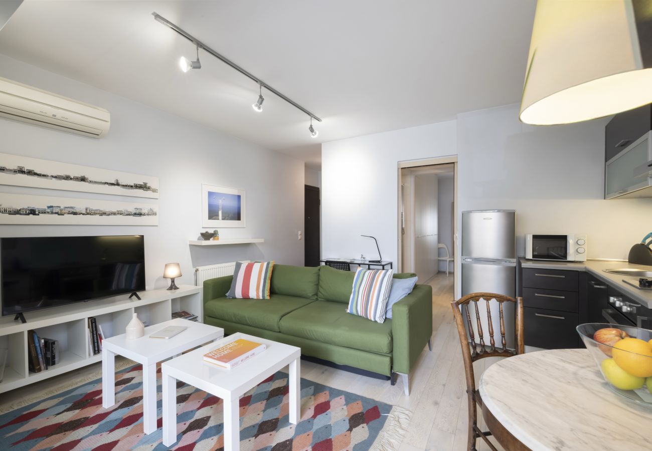 Apartment in Athens - Tsami Karatasou