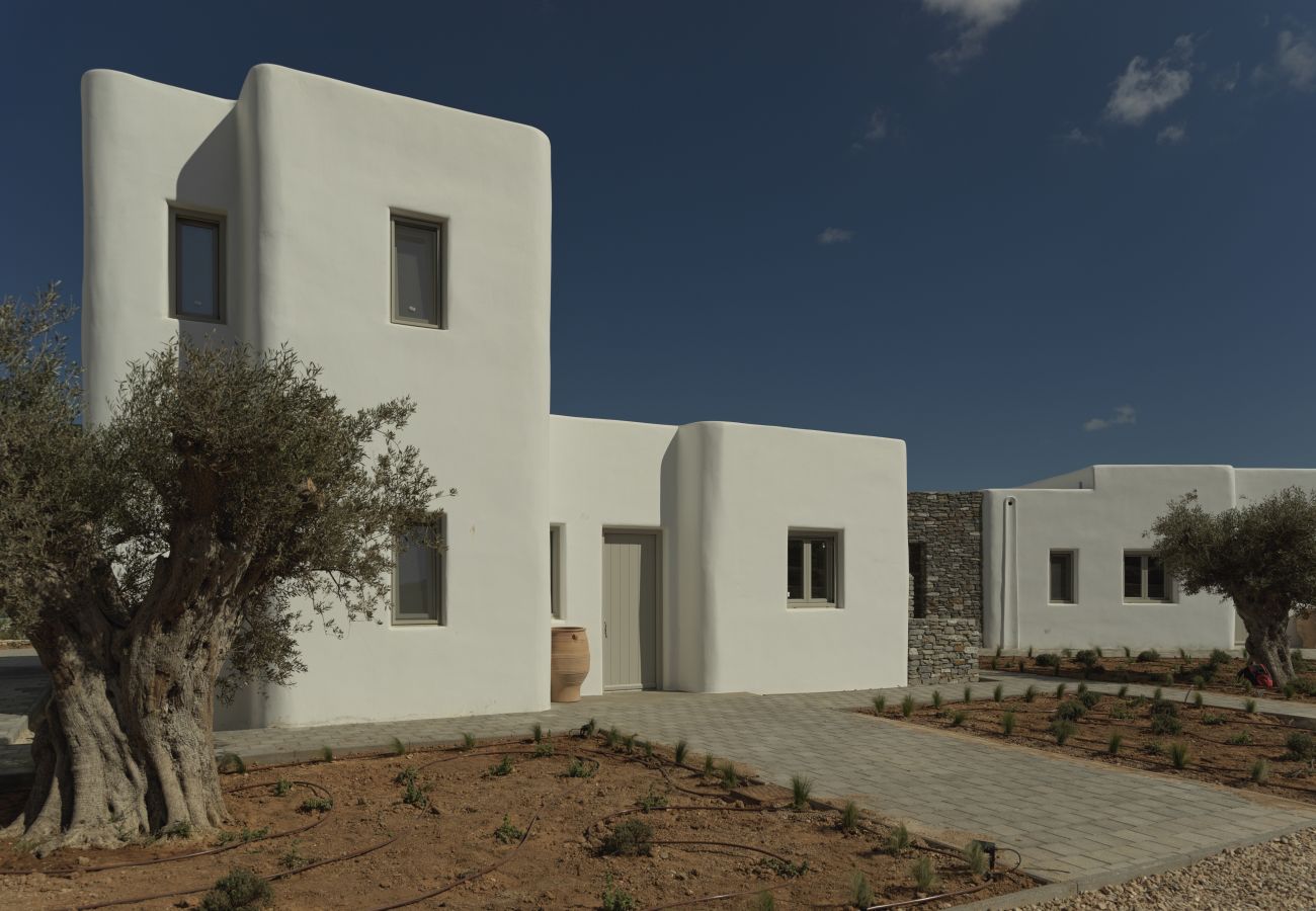 Villa in Antiparos - Thyme