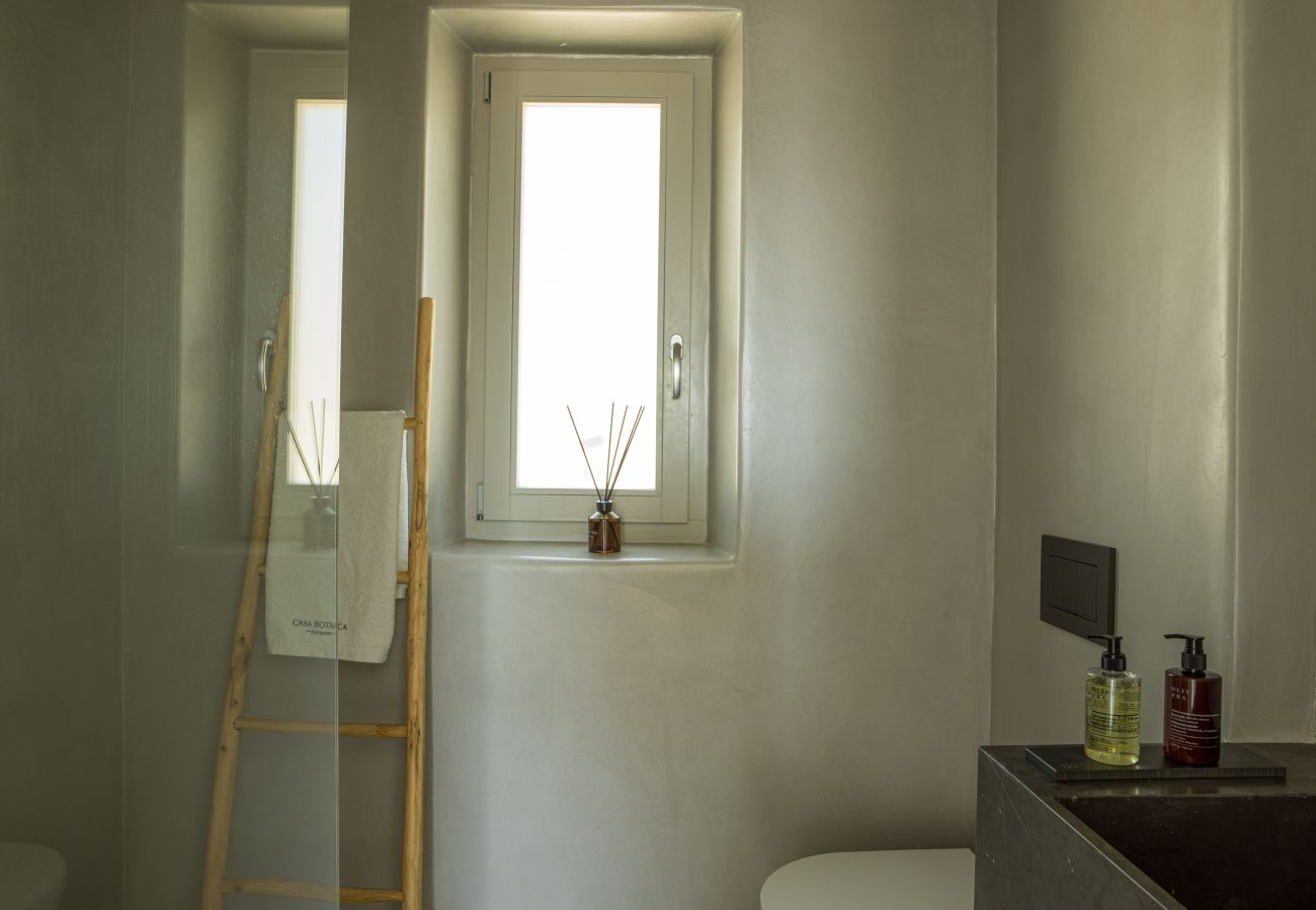 Villa in Antiparos - Heather