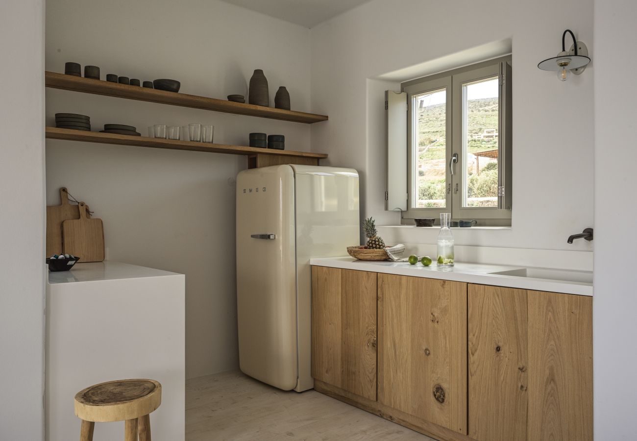 Villa in Antiparos - Heather