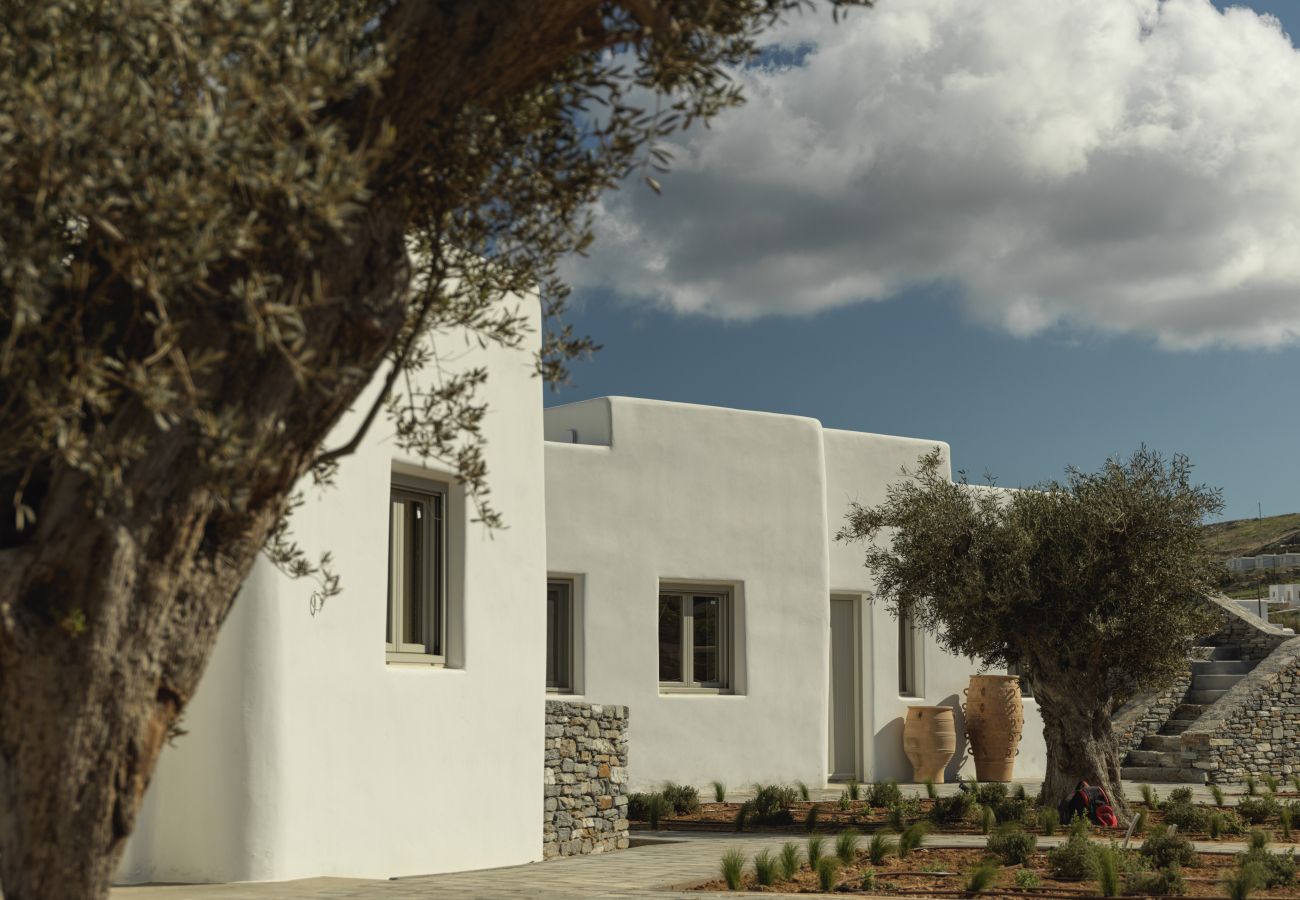 Villa in Antiparos - Oregano